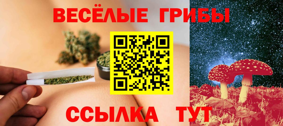 Псилоцибиновые грибы Magic Shrooms  Вход с VPN  Каменск-Шахтинский 